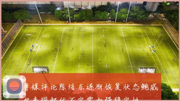鲁媒评论陈培东逐渐恢复状态鲍威尔表现起伏不定需加强稳定性
