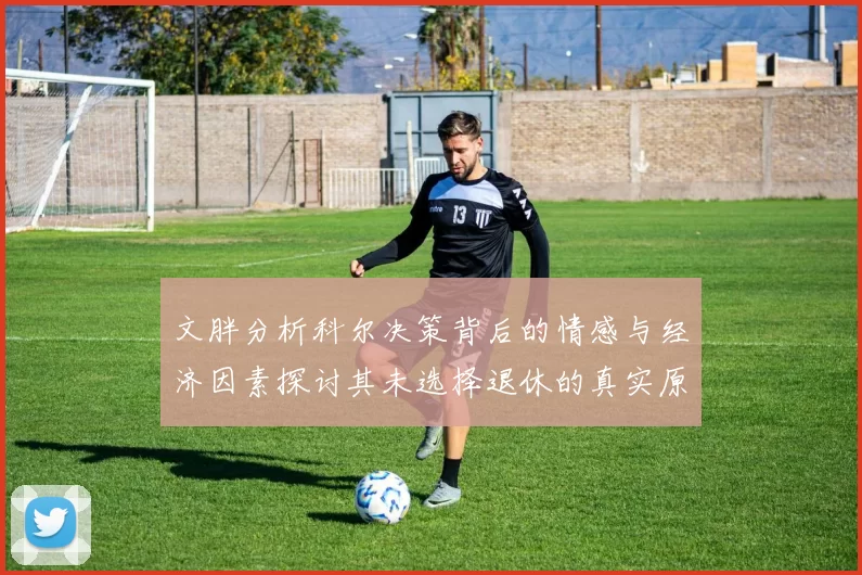 文胖分析科尔决策背后的情感与经济因素探讨其未选择退休的真实原因