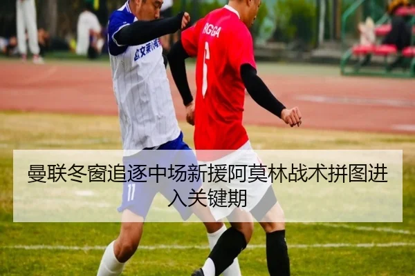 曼联冬窗追逐中场新援阿莫林战术拼图进入关键期 | hth
